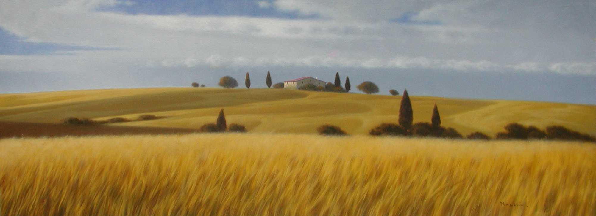 Massimiliano Nocchi N2.2505 La campagna toscana cm 50x140 Massimiliano Nocchi N2.2505 La campagna toscana cm 50x140