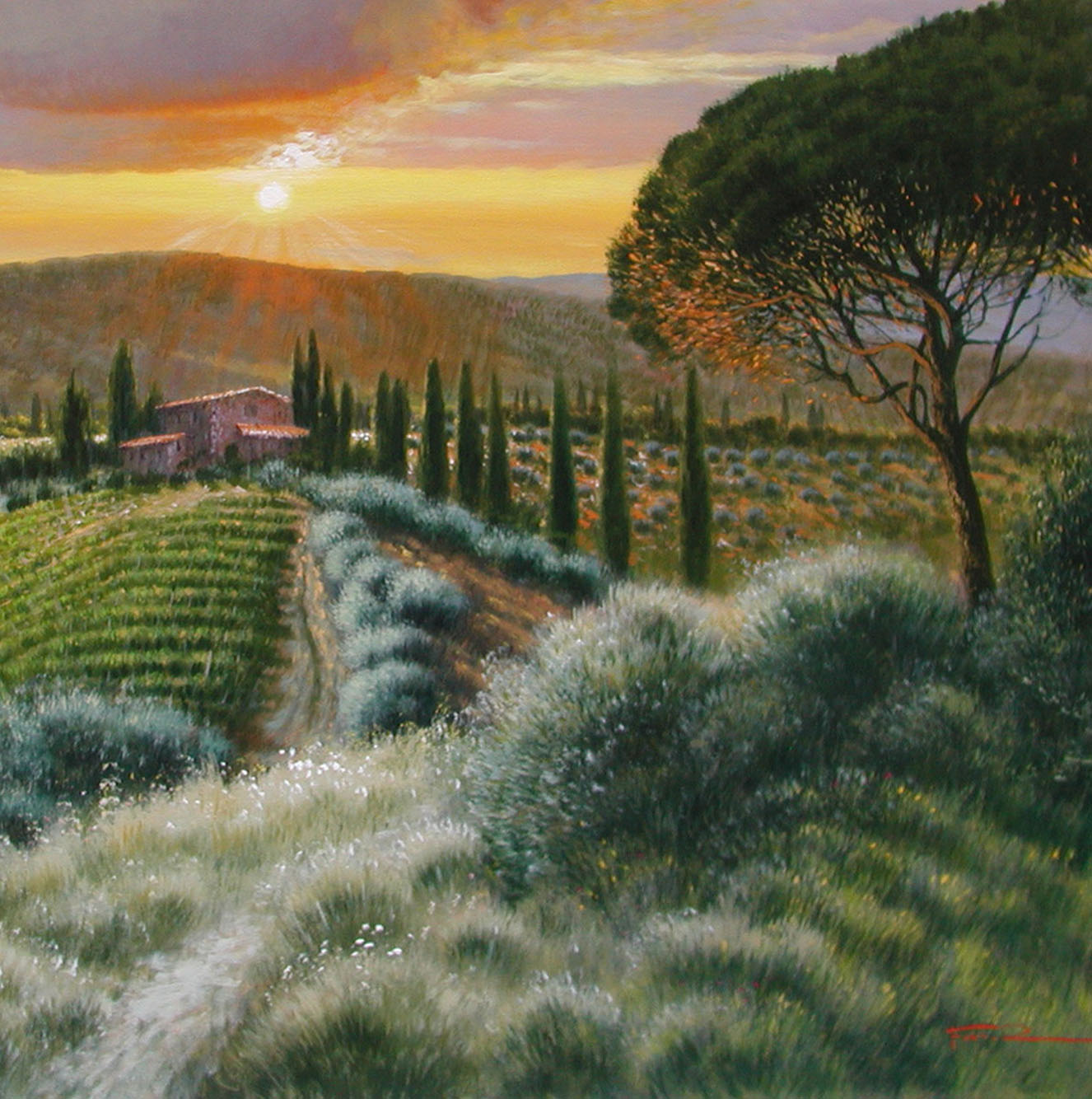 Raffaele Fiore