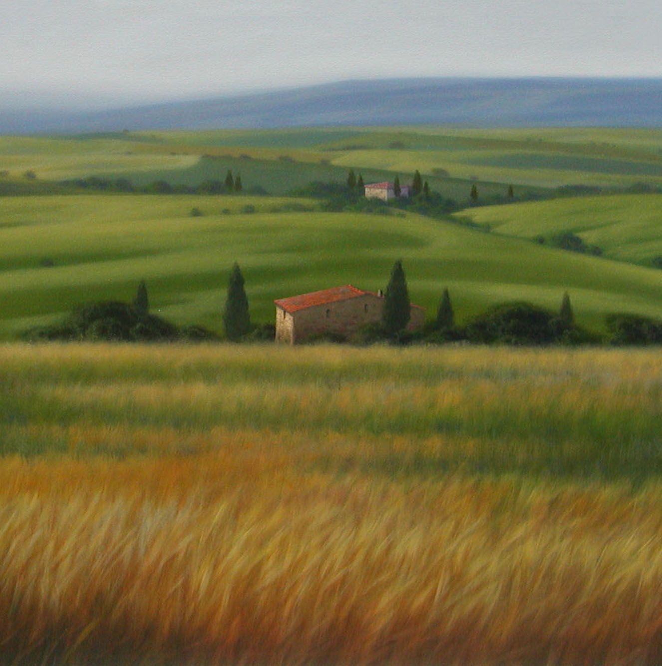 Massimiliano Nocchi