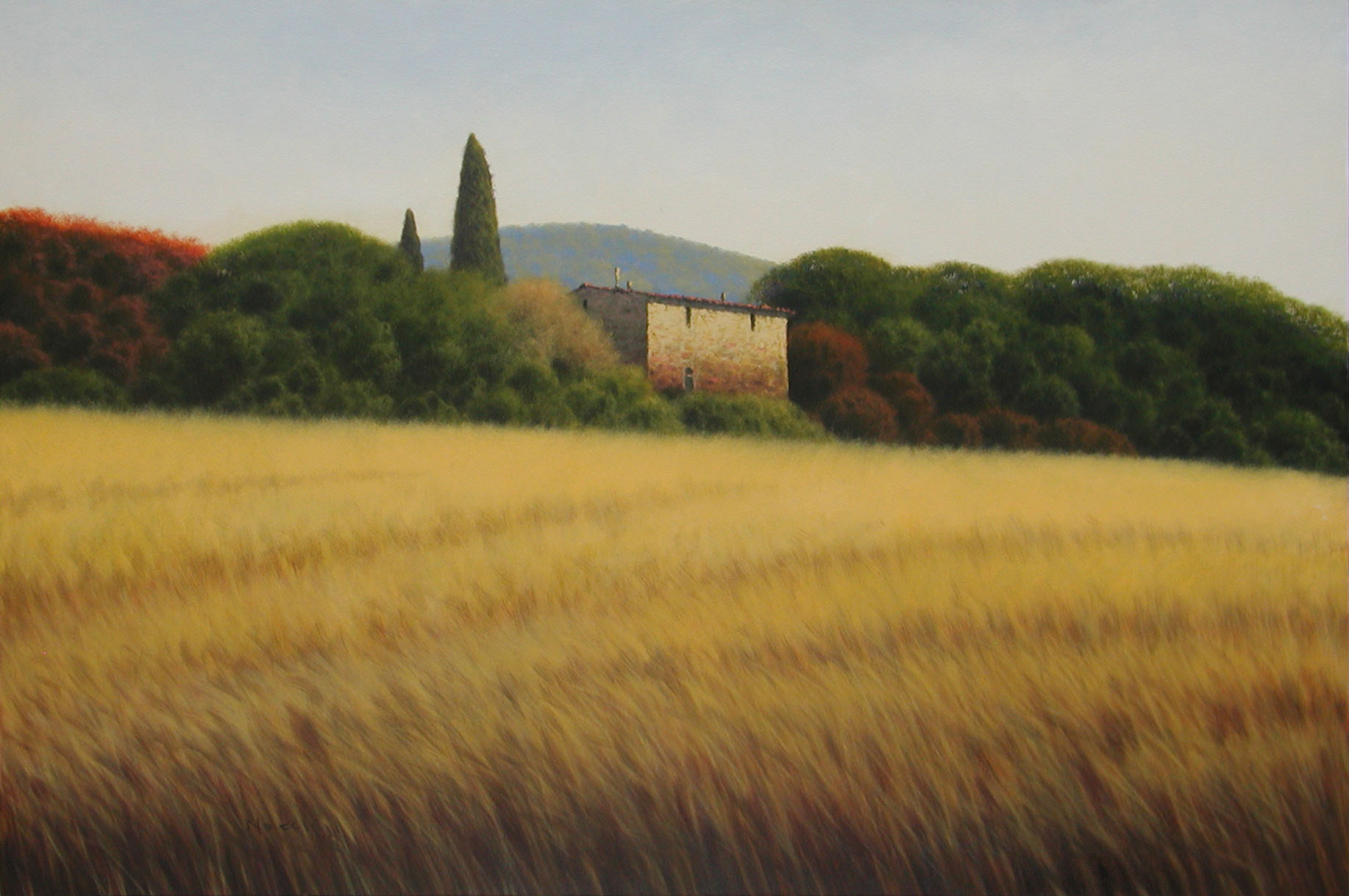 Massimiliano Nocchi N2.2509 La campagna toscana cm 80x120 Massimiliano Nocchi N2.2509 La campagna toscana cm 80x120