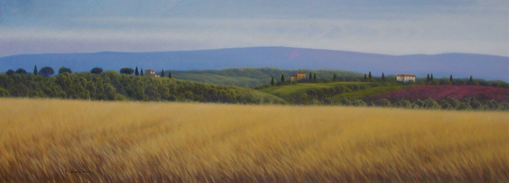 Massimiliano Nocchi N2.2511 La campagna Toscana 50x140 Massimiliano Nocchi N2.2511 La campagna Toscana 50x140