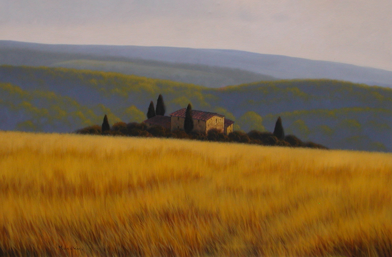 Massimiliano Nocchi N2.2512 La campagna toscana 80x120 Massimiliano Nocchi N2.2512 La campagna toscana 80x120