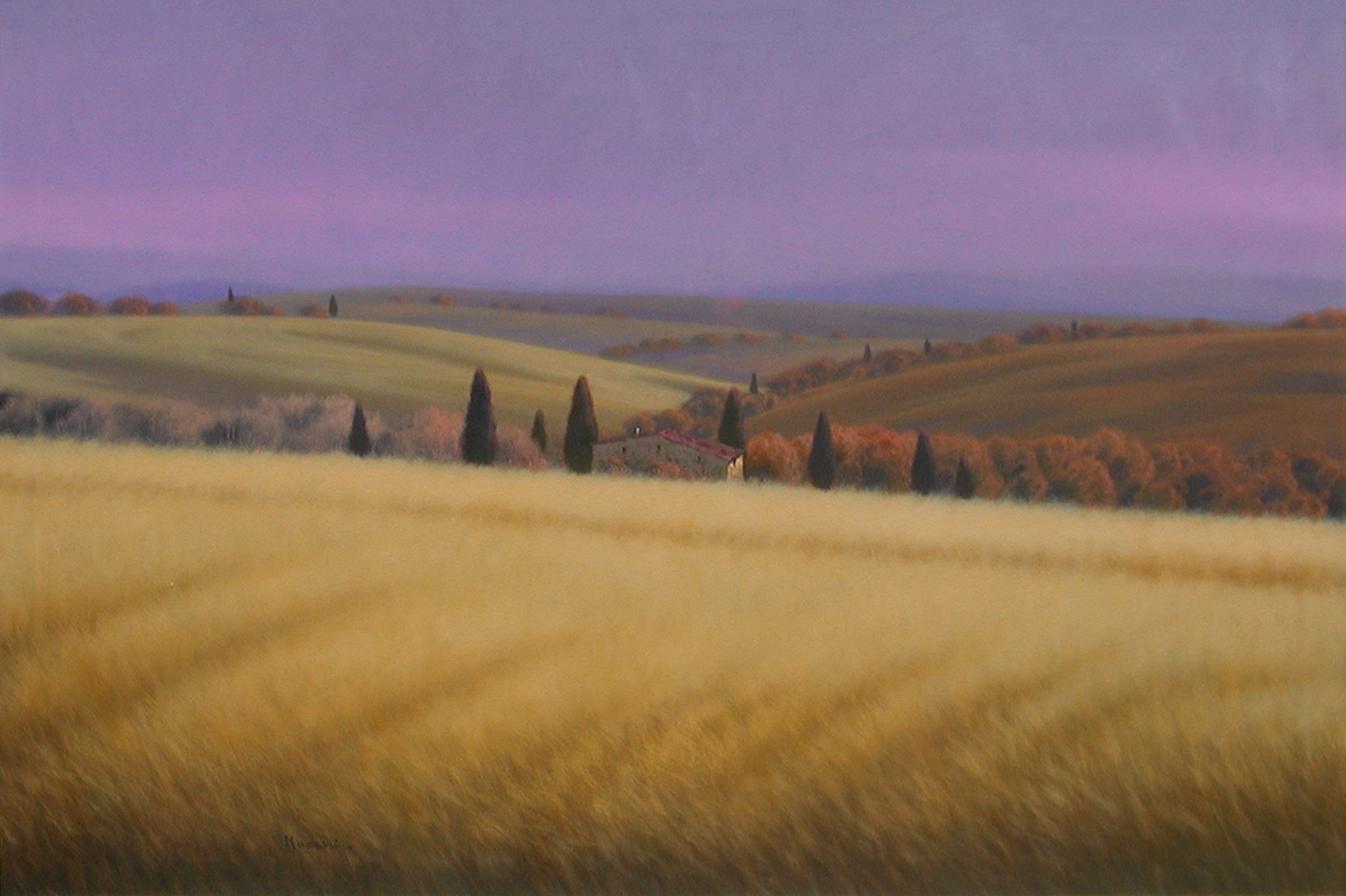 Massimiliano Nocchi N2.2510 La campagna toscana 80x120 
