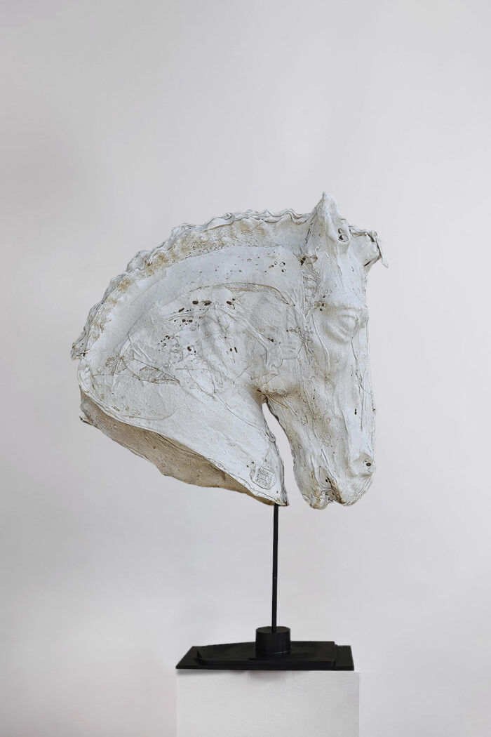 Dressage (textured white)