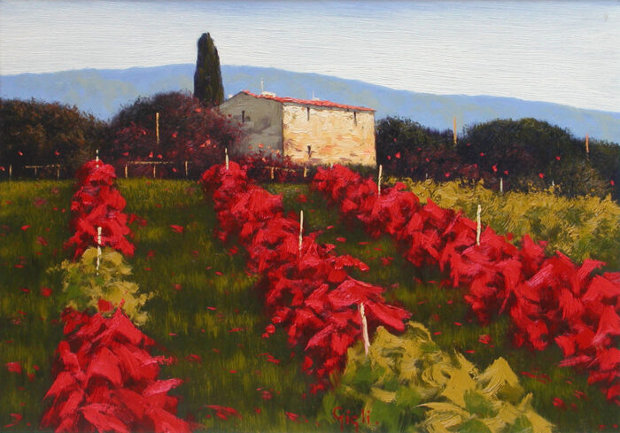 Vigna toscana