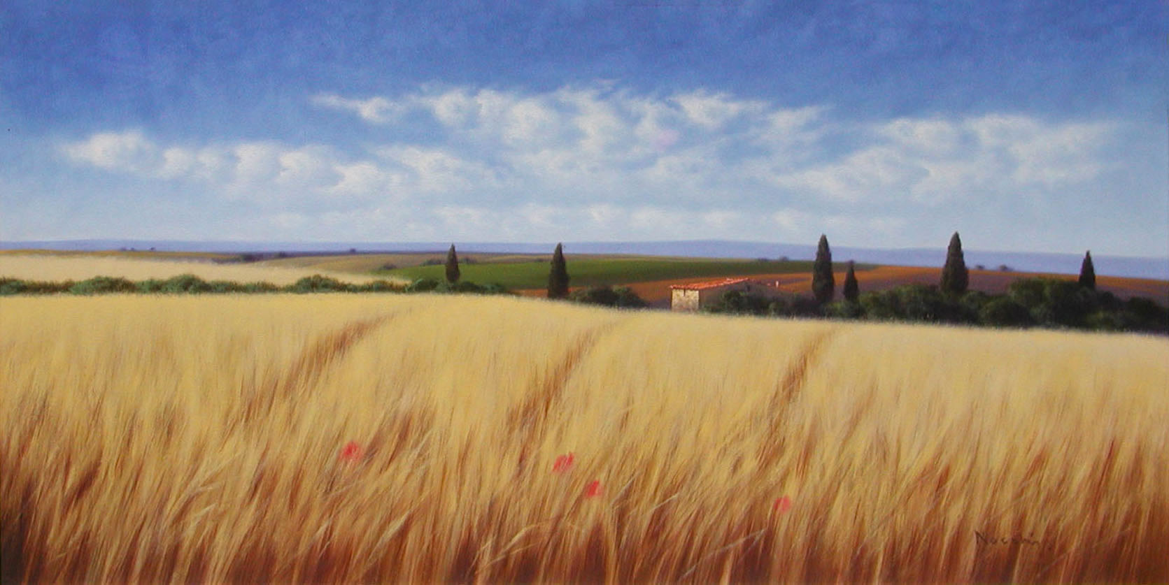 Massimiliano Nocchi