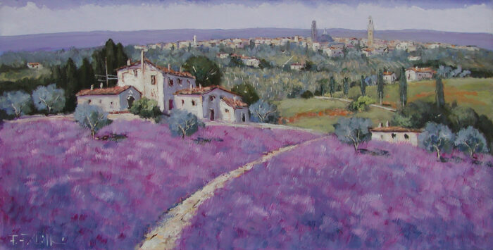 Lavanda in fiore