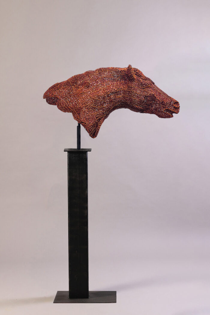 Cavallo in corsa